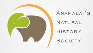 animals-natural-logo
