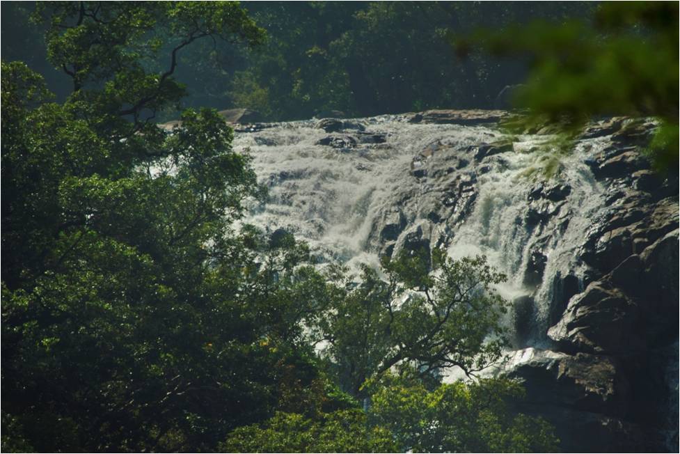 thoovanam. waterfalls, pollachi, tourism, thadam, trekking, wildlife, bird watching, 