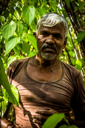 responsible tourism, beetle leaves, agriculture, farming, culture, travel, tourism, responsible tourism, pollachi papyrus, village tour,
