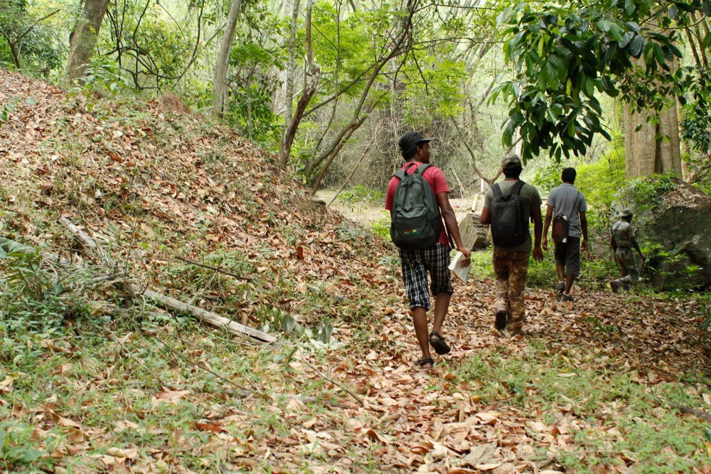 anamalais, trekking, pollachi papyrus, eco toursim, valparai, wildlife, birding, photography tour, sethumadai, elephants, nilgiri tahr, malabar whistling thrush, tea estate, old bungalow, travel article, travel blog, magazine, responsible tourism