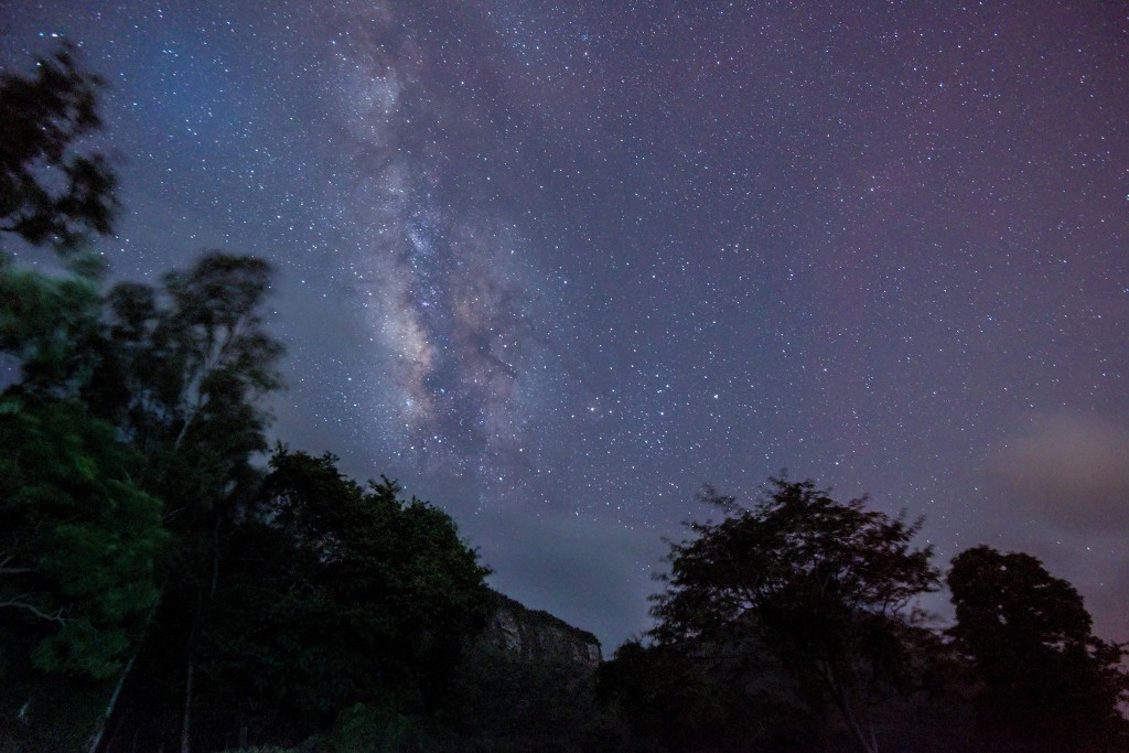 Pollachi, Pollachi papyrus, pollachi experience, sethumadai, night drive, elephants, star trail, anamalais