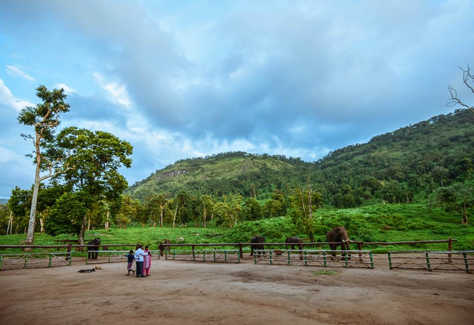 Thadam Nature and Wildlife Photography Tour at TopSlip - The