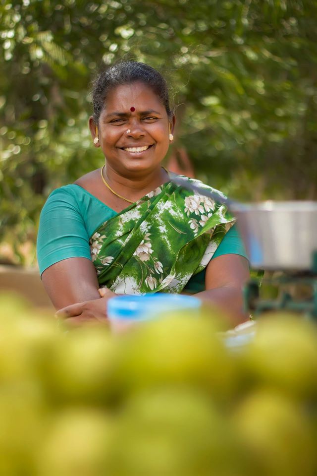 people of pollachi, pollachi, pollachi papyrus, pollachi coimbatore road extension, nh 209, road widening, guavas, roadside stalls, loss of livelihood, pollachi tourism, explore pollachi, cultural tourism, responsilble tourism
