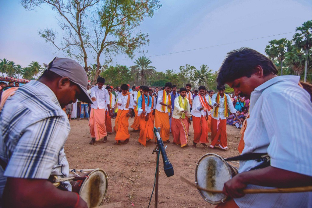 cattle festival, kongunaadu cattle festival, pollachi cattle festival, samathur, kongunaatu kaalnadai thiruvizha, vanavarayar foundation, native cattle, kangeyam bulls, stallion, horses, vanavarayar, cockrels, 