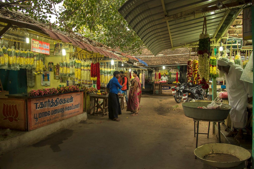 poo market, flower market, pollachi, pollachi papyrus, places to visit, places of attraction,