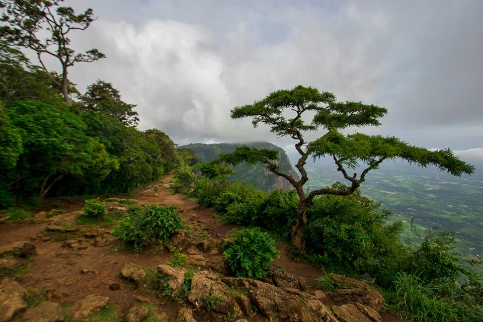 Nelliyampathy, places of attraction, pollachi papyrus, monsoon, waterfalls, rainforest, nemmara, places to visit near pollachi, greenland, POABS, places to stay in nelliyampathy, resorts in nelliyampathy, kalari kovilakom, kollengode