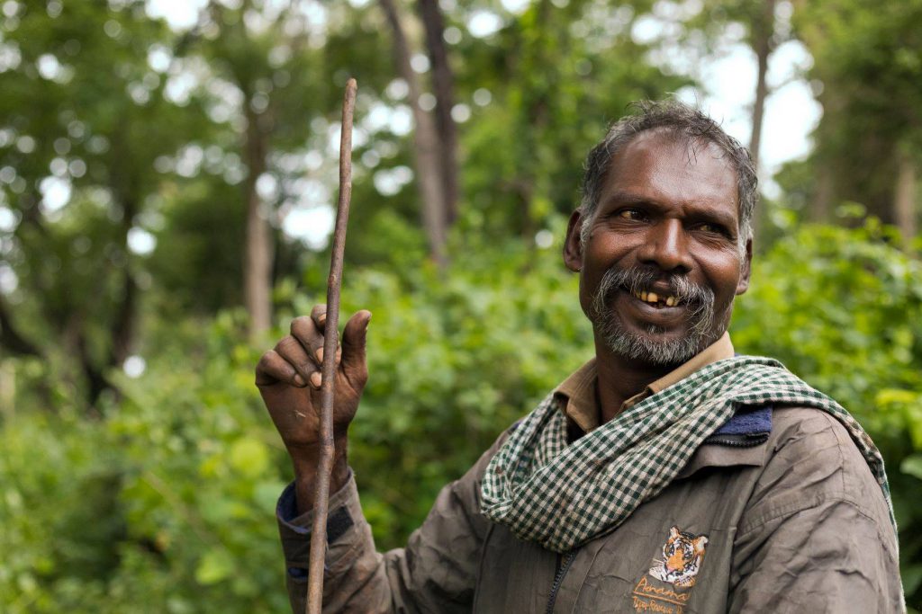 people of pollachi, kaleem, kumki, asian elephant, topslip, anamalai tiger reserve, captive elephant, tusker, anamalais, valparai, wildlife tour, responsible tourism, thadam experiences