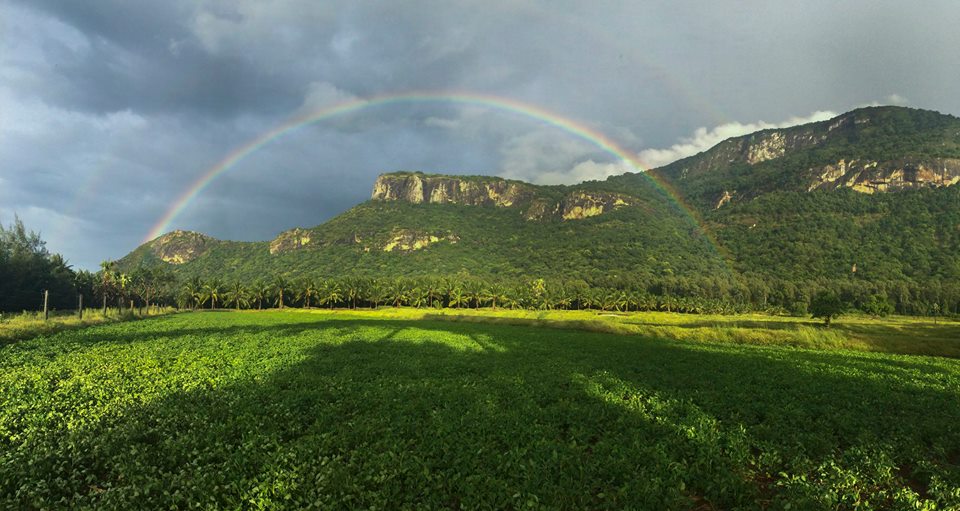 pollachi, pollachi papyrus, sethumadai, monsoon, western ghats, anamalai tiger reserve, anamalais, rainbow, groundnut, valparai, mountains, hills, farms, coconut farms