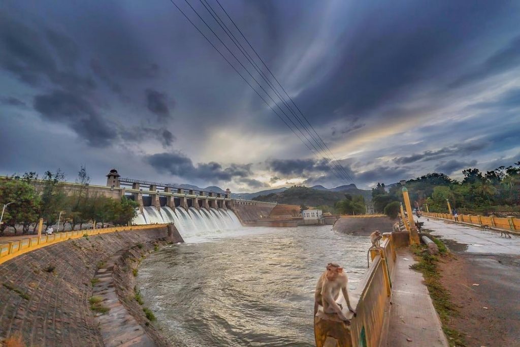 Amaravathi, amaravathy, amaravathi nagar, amaravathy dam, reservoir, paddy fields, pollachi, places around pollachi, place of attraction, pollachi papyrus, responsible tourism, valparai, topslip, tamilnadu, nature, travel blog, travel website, anamalai tiger reserve, anamalais