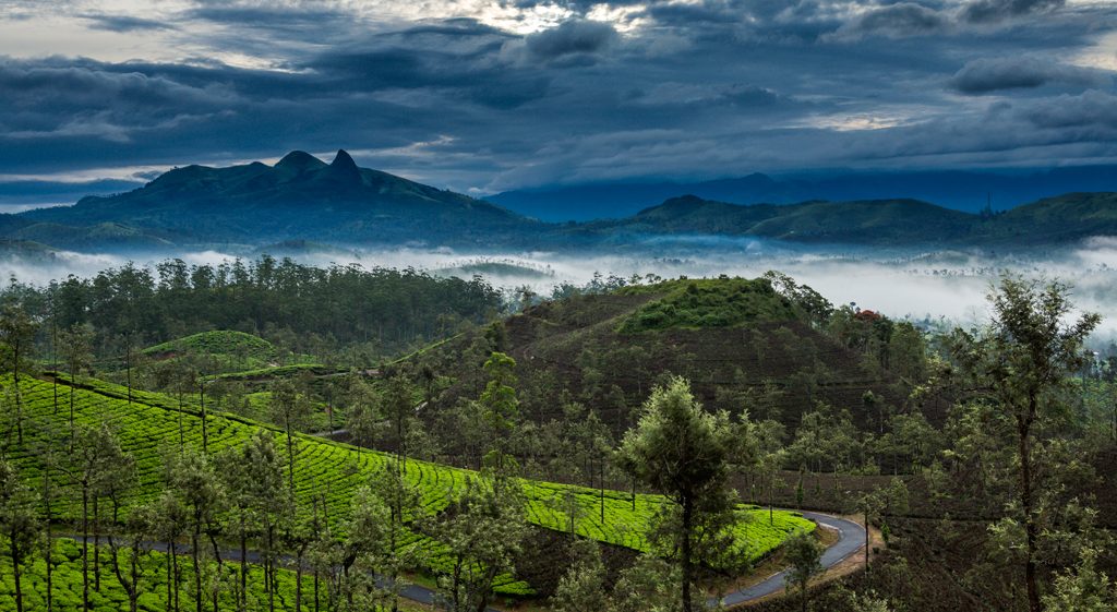 mangorange, sinnadorais, colonial bungalow, plantattion bungalow, tea estate, gudalur, nilgiris, home stay, nature resort, pollachi papyrus, papyrus itineraries, ooty