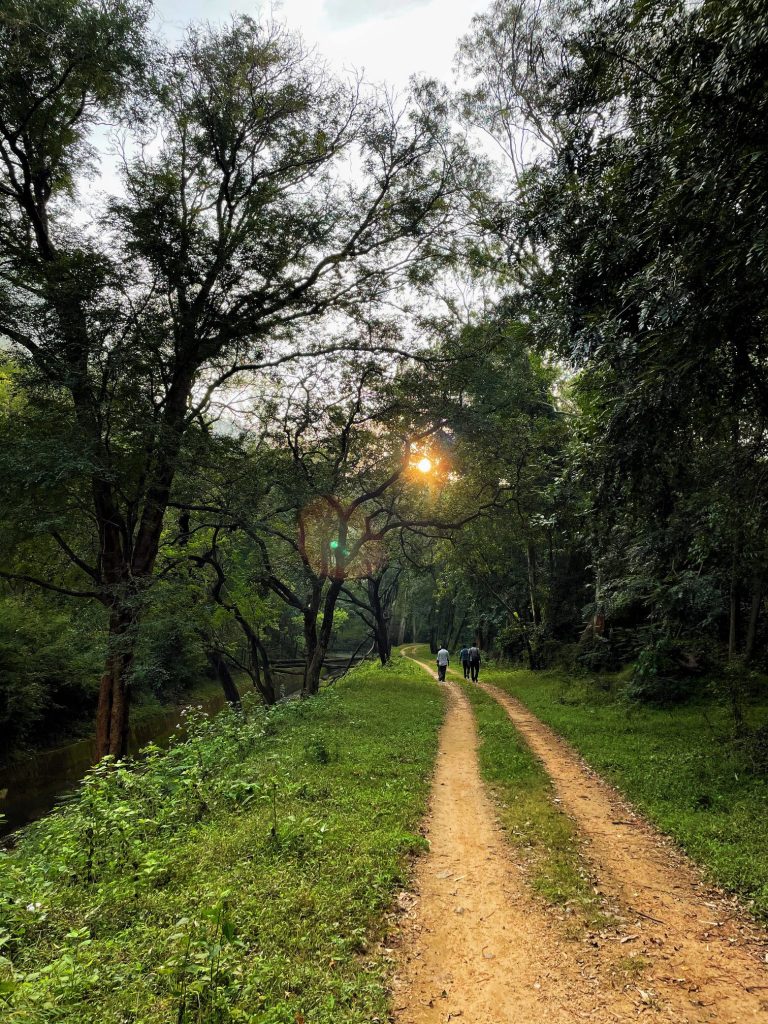 by the riverside, resort, pollachi, sethumadai, resorts in pollachi, pool villa, plunge pool, pool room, pollachi resorts, topslip resorts, valparai, topslip, farm stay, home stay, pollachi papyrus, papyrus itineraries, nature walk, bird watching