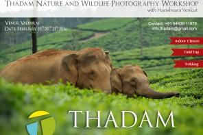 thadam nature and wildlife photography workshop, photogrpahy workshop, valparai, nilgiri tahr, polllachi tour, photogaphy tour, nature tour, waterfalls, aliyar, pollachi papyrus, TNWP,
