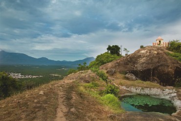 pollachi, pollachi papyrus, anamalai, sethumadai, perumal saamy karadu, perumal swamy karadu, places of attraction, tourist attractions, tourist spot, responsible tourism, places in and around pollachi, places to visit, responsible tourism, gandhi ashramam, hillock, tipu sultan, malik khafur, india grey hornbill